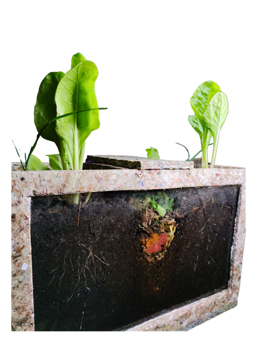 CompHuerta con plantas creciendo y raíces visibles a través del vidrio lateral